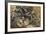 Charge Lancers - Cavalry Charge (Carica Di Lancieri - Carica Di Cavalleria)-Umberto Boccioni-Framed Giclee Print