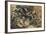 Charge Lancers - Cavalry Charge (Carica Di Lancieri - Carica Di Cavalleria)-Umberto Boccioni-Framed Giclee Print