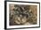 Charge Lancers - Cavalry Charge (Carica Di Lancieri - Carica Di Cavalleria)-Umberto Boccioni-Framed Giclee Print