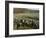 Charge of Flowerdew's Squadron, c.1918-Sir Alfred Munnings-Framed Giclee Print