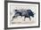 Charging Bull, 1998-Mark Adlington-Framed Giclee Print