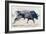 Charging Bull, 1998-Mark Adlington-Framed Giclee Print