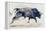 Charging Bull, 1998-Mark Adlington-Framed Premier Image Canvas