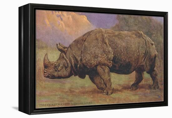 Charging Indian Rhinoceros-null-Framed Stretched Canvas