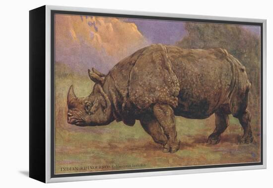 Charging Indian Rhinoceros-null-Framed Stretched Canvas