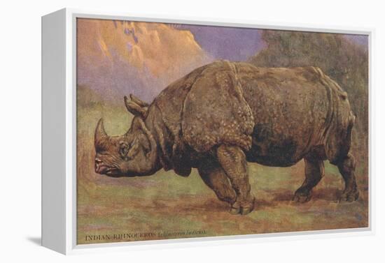 Charging Indian Rhinoceros-null-Framed Stretched Canvas