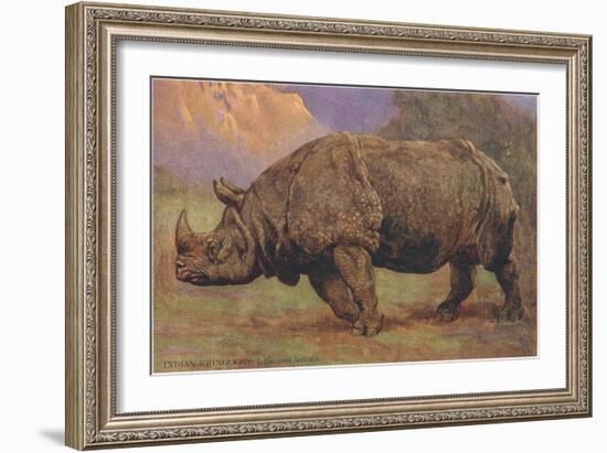 Charging Indian Rhinoceros-null-Framed Art Print