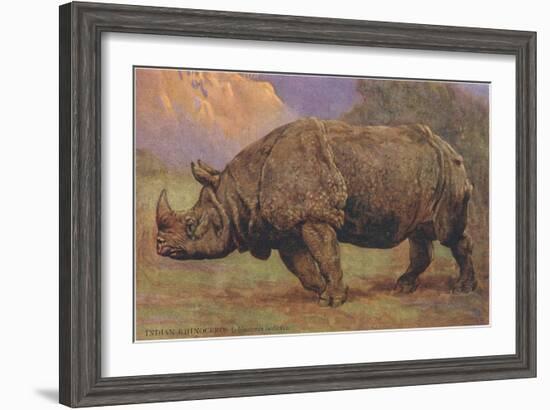 Charging Indian Rhinoceros-null-Framed Art Print