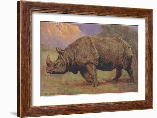 Charging Indian Rhinoceros-null-Framed Art Print