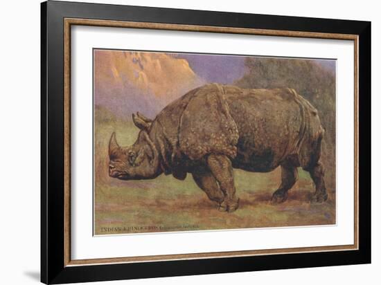 Charging Indian Rhinoceros-null-Framed Art Print