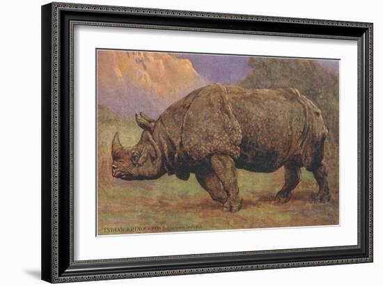 Charging Indian Rhinoceros-null-Framed Art Print