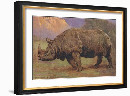 Charging Indian Rhinoceros-null-Framed Art Print