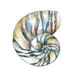 Aquarelle Shells III-Chariklia Zarris-Art Print