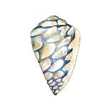 Small Butterfly Collector V-Chariklia Zarris-Art Print