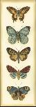 Small Butterfly Collector V-Chariklia Zarris-Art Print