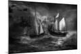 Photographic Print