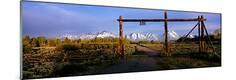 Premium Photographic Print