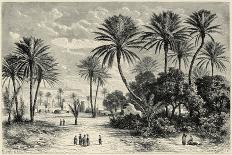 Oasis of Gafsa: Tunis-Charles Barbant-Giclee Print