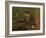 Charles Baudelaire (1821-186), 1848-Gustave Courbet-Framed Giclee Print