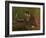 Charles Baudelaire (1821-186), 1848-Gustave Courbet-Framed Giclee Print