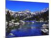 Photographic Print