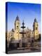 Stretched Canvas Print
