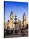Stretched Canvas Print