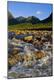 Photographic Print