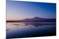Photographic Print