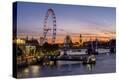 Stretched Canvas Print
