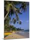 Photographic Print