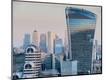 Premium Photographic Print