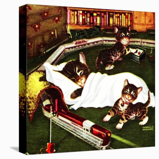 Stretched Canvas Print, , large