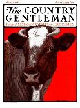 "Black and White Cow in Profile," Country Gentleman Cover, July 21, 1923-Charles Bull-Framed Giclee Print