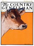 "Brown Cow," Country Gentleman Cover, March 8, 1924-Charles Bull-Framed Giclee Print
