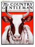 "Dairy Cow," Country Gentleman Cover, May 12, 1923-Charles Bull-Giclee Print