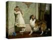 Stretched Canvas Print
