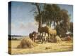 Stretched Canvas Print