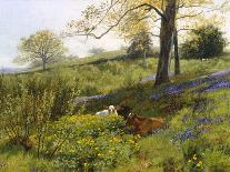 Landscape with Cattle (In the Nower, Dorking), c1899-Charles Collins-Framed Giclee Print