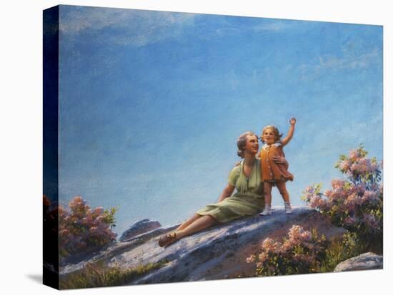 Stretched Canvas Print, , large