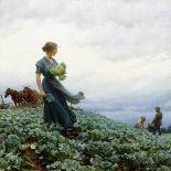 The Cabbage Field, 1914-Charles Courtney Curran-Giclee Print
