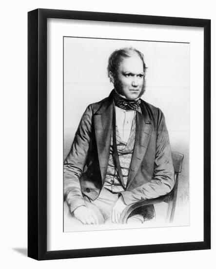 Charles Darwin, 1849 (Litho)-Thomas Herbert Maguire-Framed Giclee Print