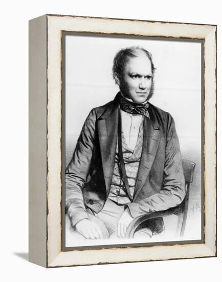 Charles Darwin, 1849 (Litho)-Thomas Herbert Maguire-Framed Premier Image Canvas