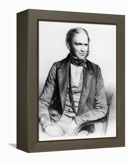 Charles Darwin, 1849 (Litho)-Thomas Herbert Maguire-Framed Premier Image Canvas