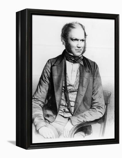 Charles Darwin, 1849 (Litho)-Thomas Herbert Maguire-Framed Premier Image Canvas