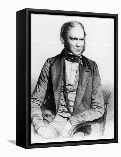 Charles Darwin, 1849 (Litho)-Thomas Herbert Maguire-Framed Premier Image Canvas