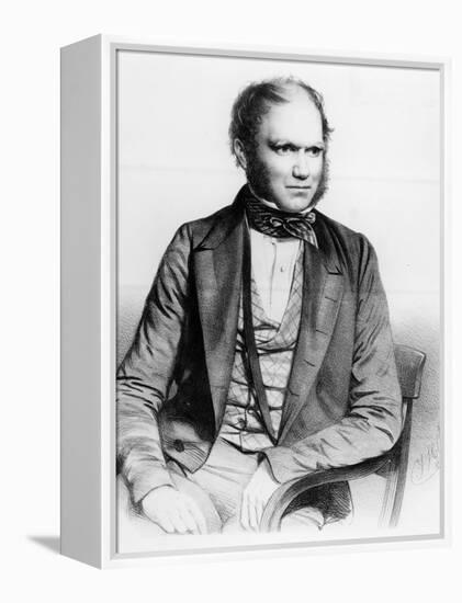 Charles Darwin, 1849 (Litho)-Thomas Herbert Maguire-Framed Premier Image Canvas