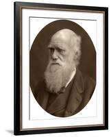 Charles Darwin, 1878-Lock & Whitfield-Framed Photographic Print