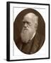 Charles Darwin, 1878-Lock & Whitfield-Framed Photographic Print
