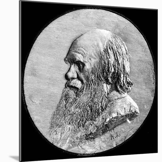 Charles Darwin, 1882-Alphonse Legros-Mounted Giclee Print